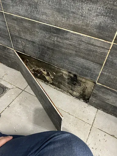 Concept Batiment à La Talaudière