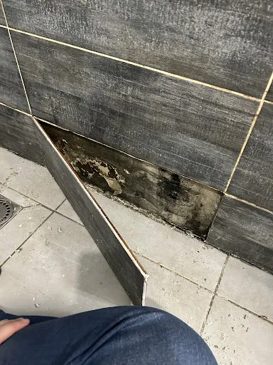 Concept Batiment à La Talaudière