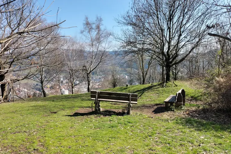 Visite découverte du Bois d'Avaize à Saint-Étienne