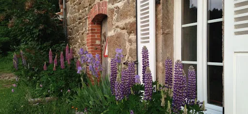 Maryline Giraud Gestion-Mgg à La Talaudière