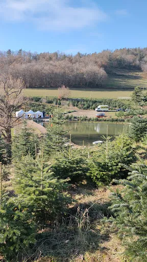Pépinière Mon Beau Sapin à La Talaudière